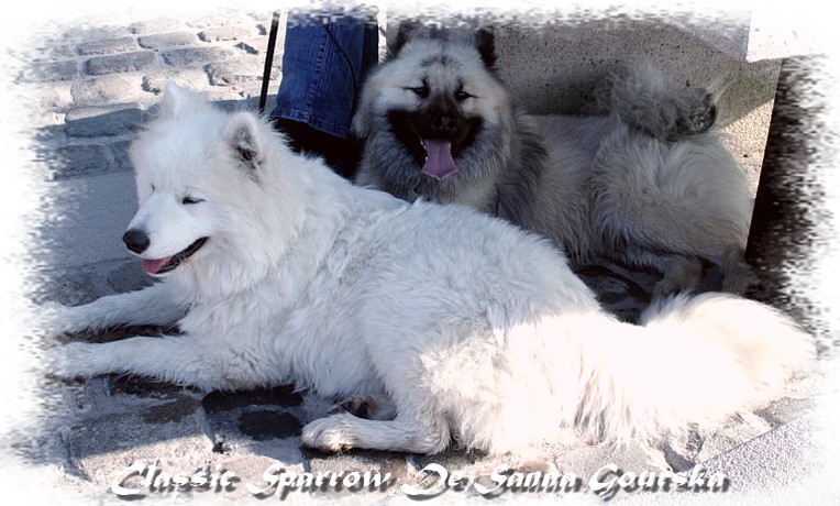 Sparrow 6 mois avec son ami Aslan (6 months)