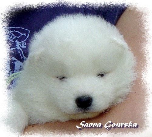 Cool Shy'm De Sanna Gourska - 1 mois