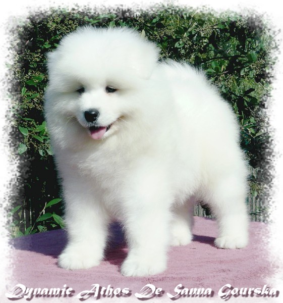 Athos