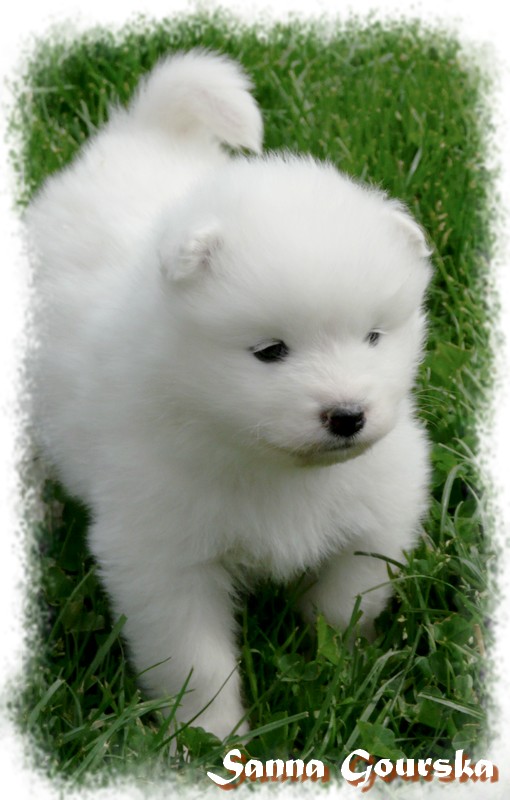1 mois (1 month)
