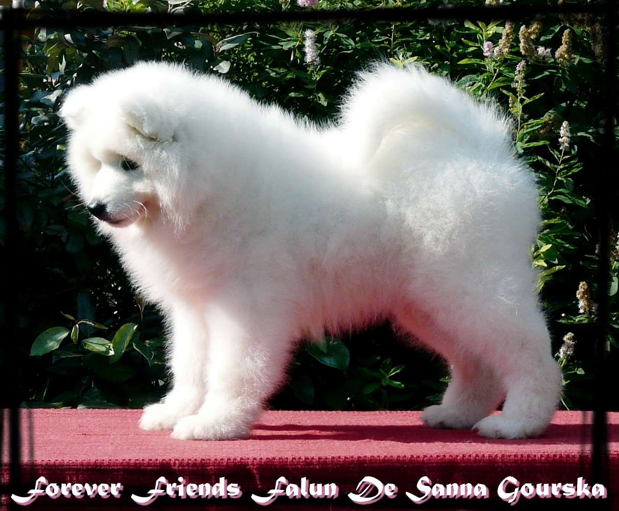 Falun