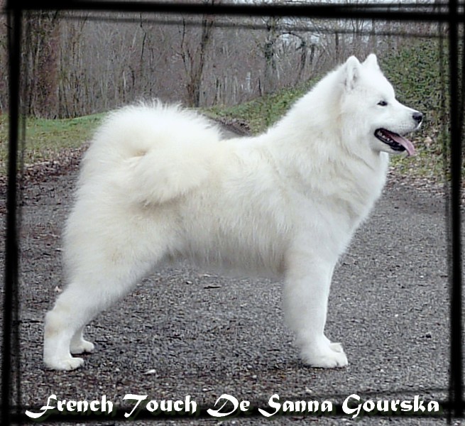 Frenchy 9 mois (9 months)