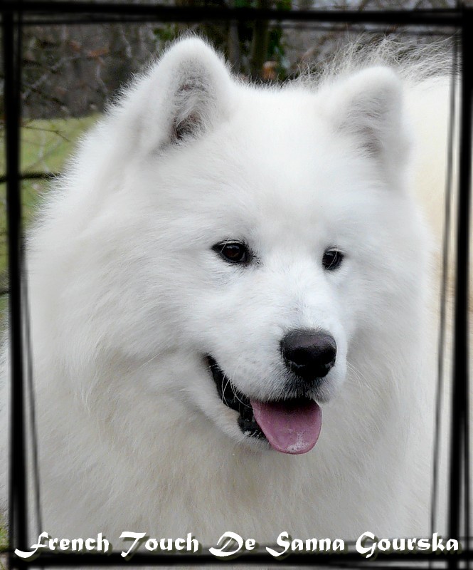 Frenchy 9 mois (9 months)