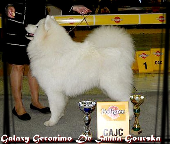 Geronimo