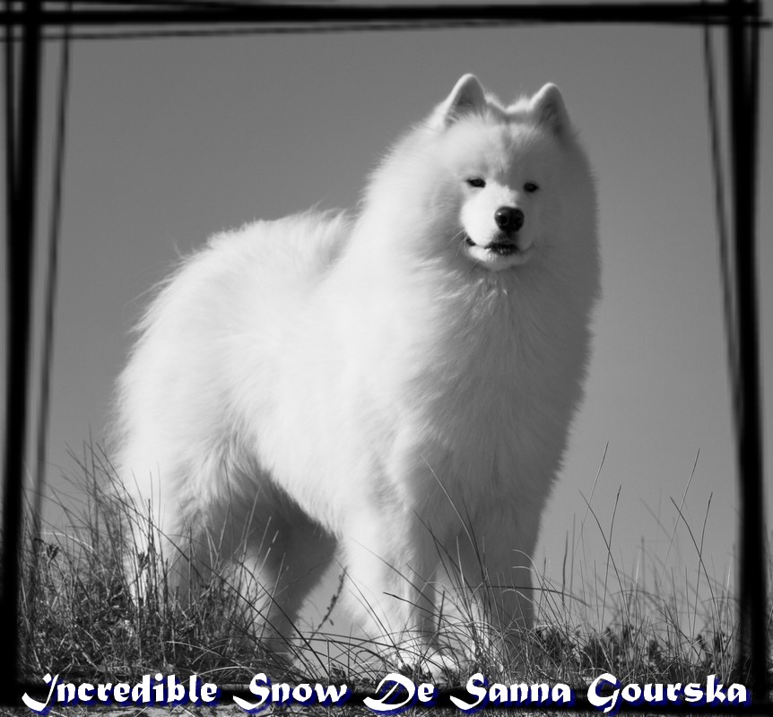 Snow