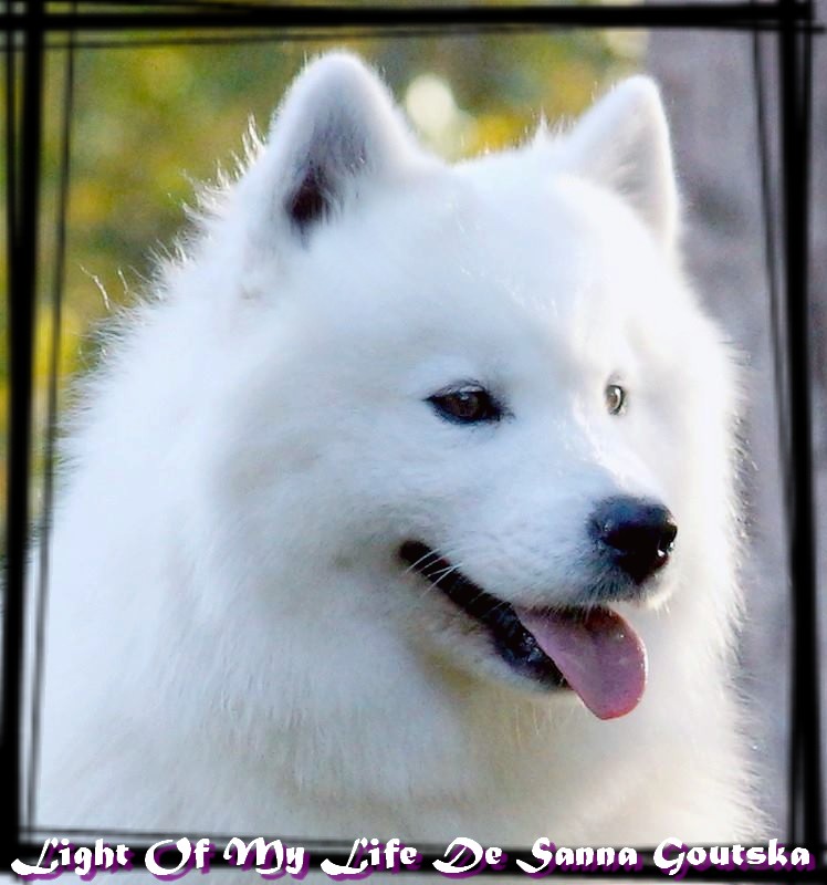 Lili