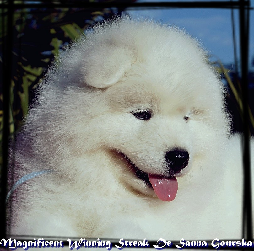 Jon Snow
